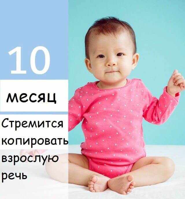 10mesachev