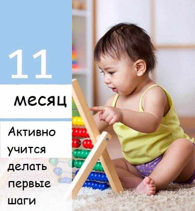 11mesachev