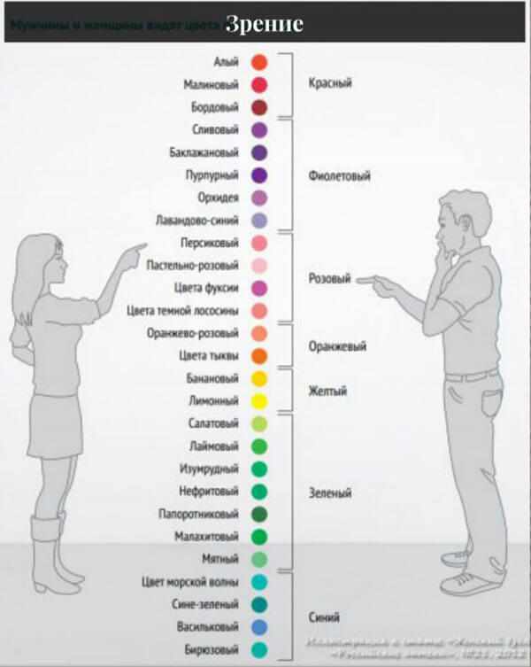 Оттенки цвета для мужчины и женщины