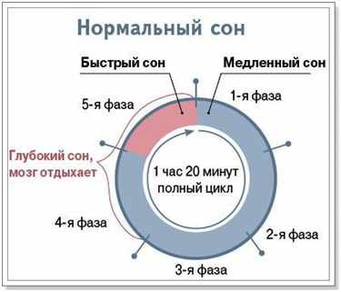 rezhim-normalnogo-sna